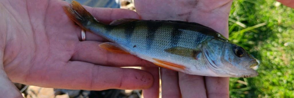 Рыбак России Егор