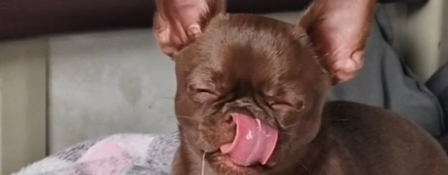 Влог моя Семья