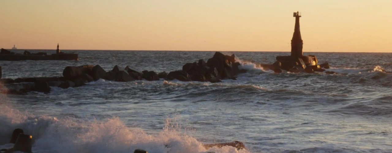 Давыдова Ирина.