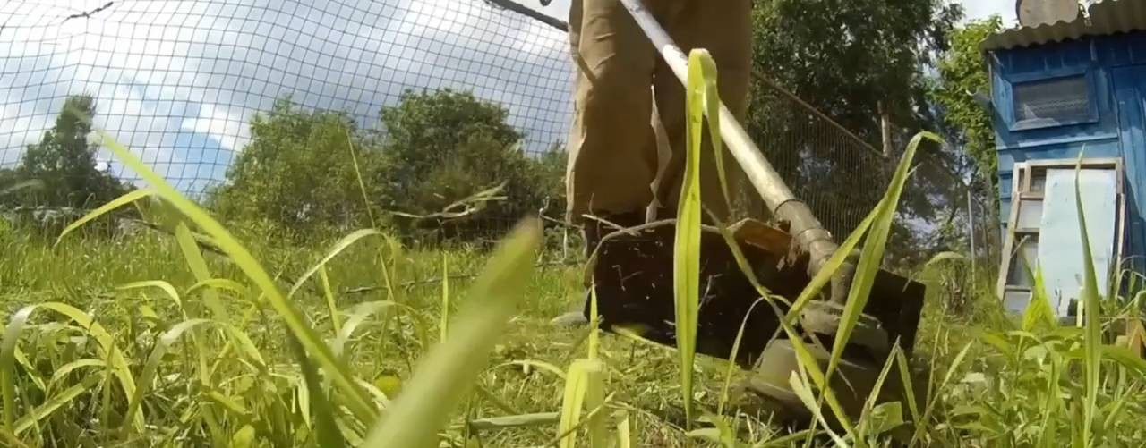 Будни городского земледельца