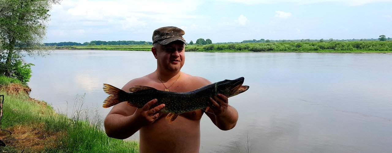 Лесные приключения vs рыбалка