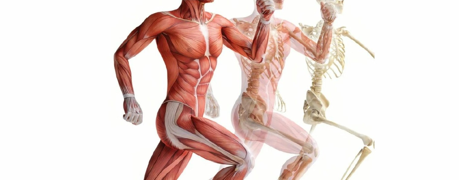 Сергей Куликов | Фитнес Тренер