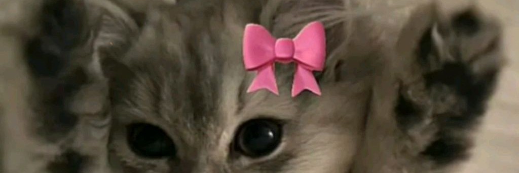 Просто Дуся