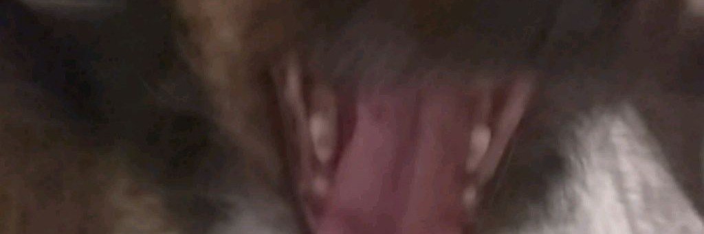 ~🍁Катюха🍁(официал)~√⃞