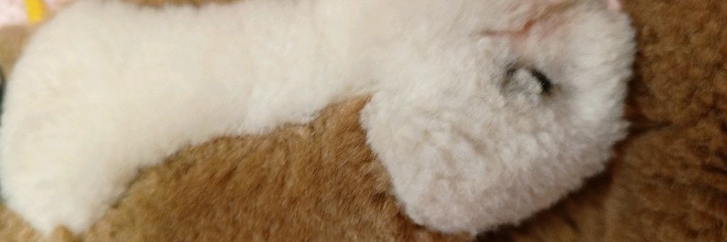 АВТОМАТ С ИГРУШКАМИ