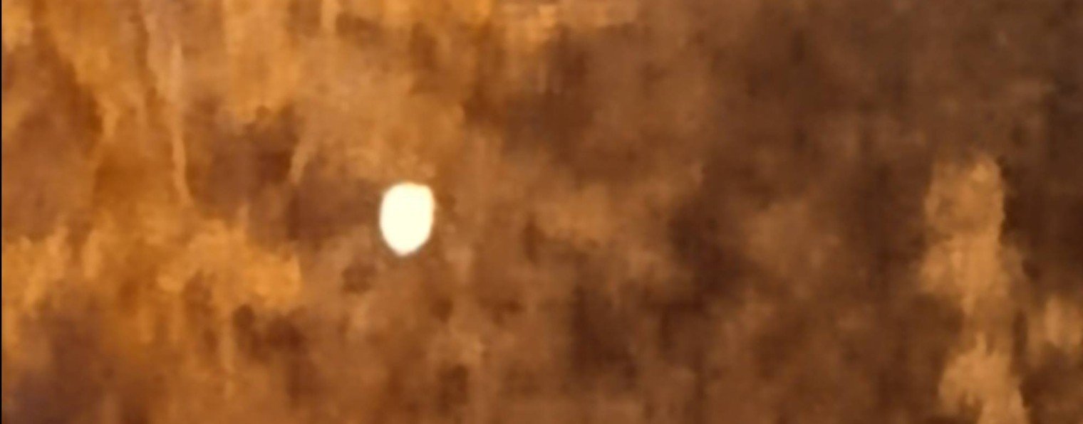 Соня⭐плету из бисера🫠✨