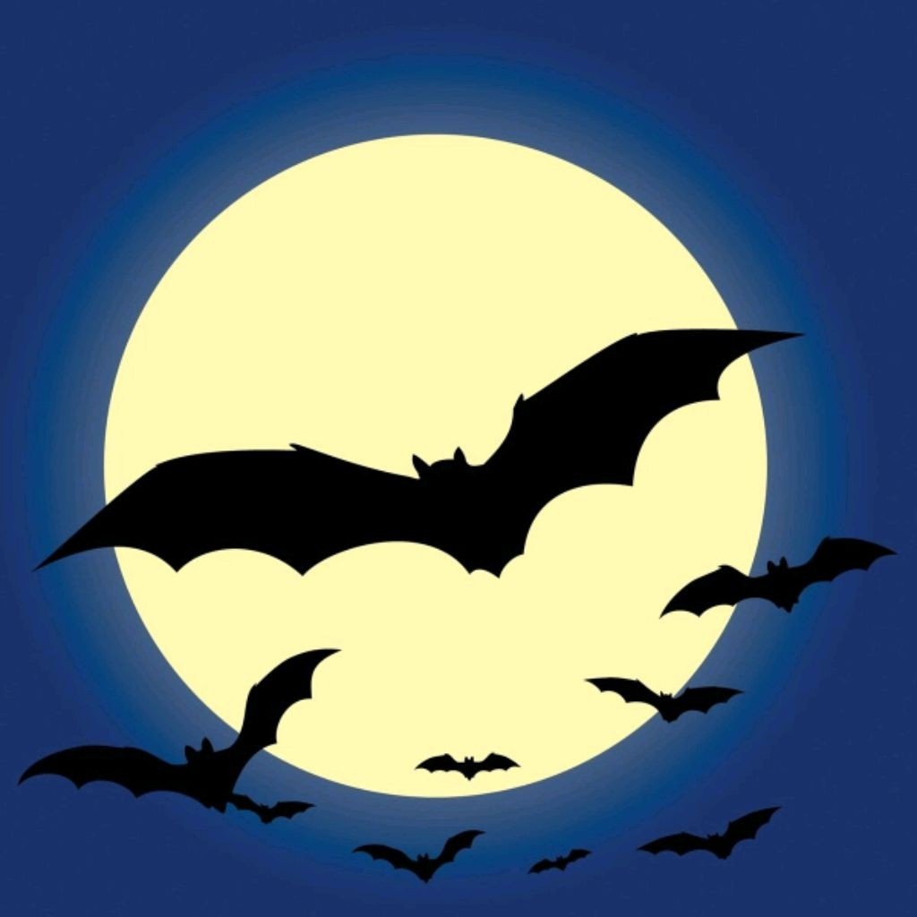 Магия карт.. Чародейка