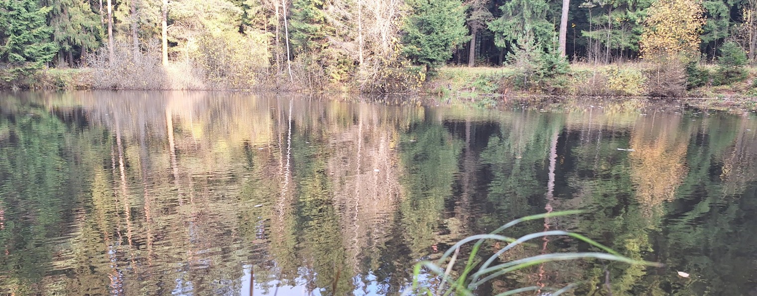 Гуляем с Sergiki1