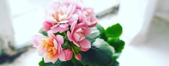 Екатерина Рыбец