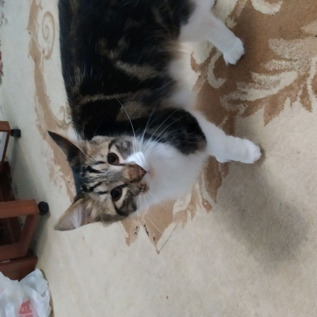 Сергей Давиденко