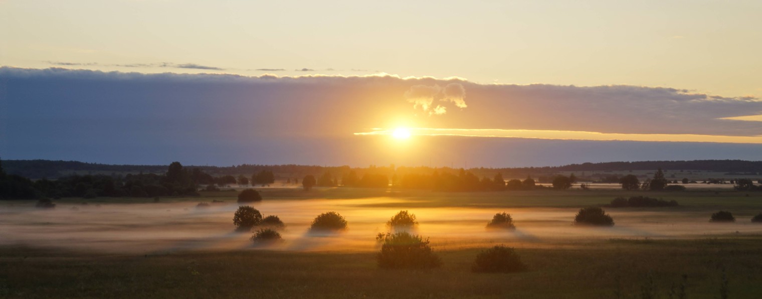У каждого свое хобби