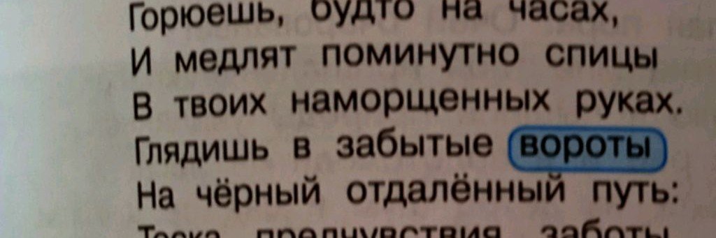 🧃фио-лет-ка_736-))
