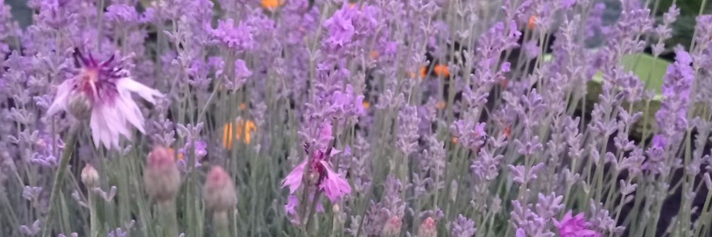 Про100радости