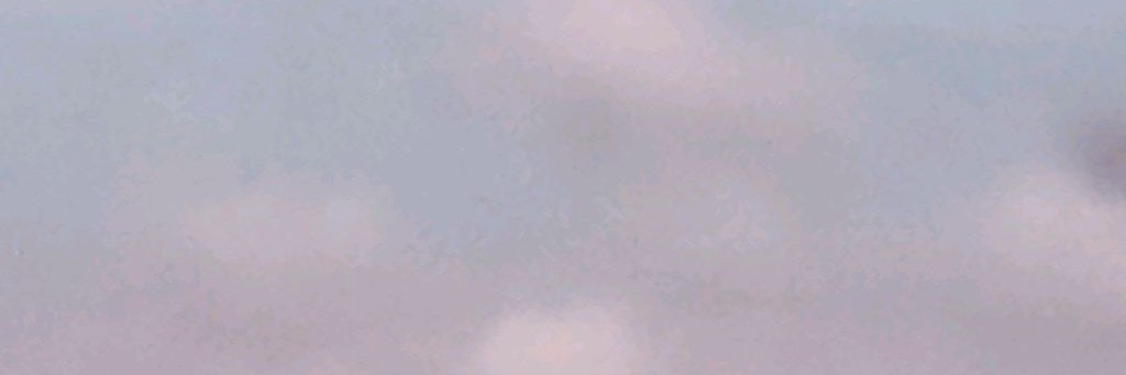 ЛИСА-ТОКА♡