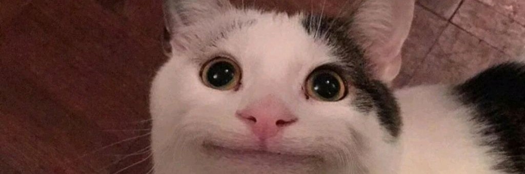 Funniest Videos Super funny