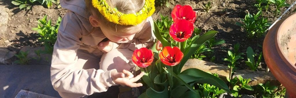 Домашний Быт