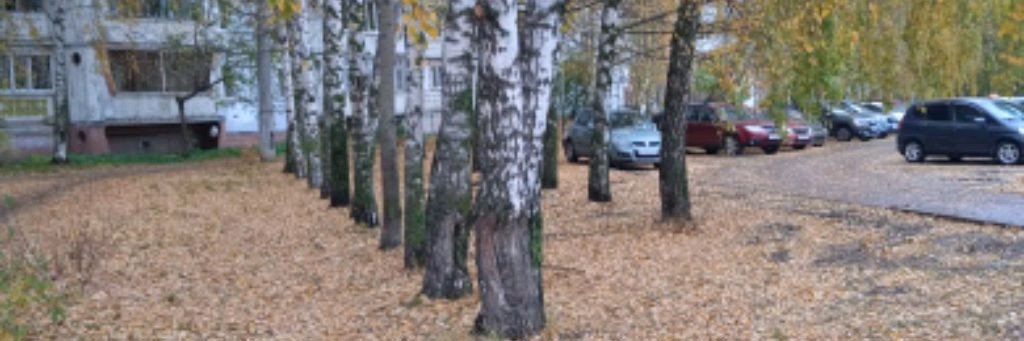 Карина Крутыша