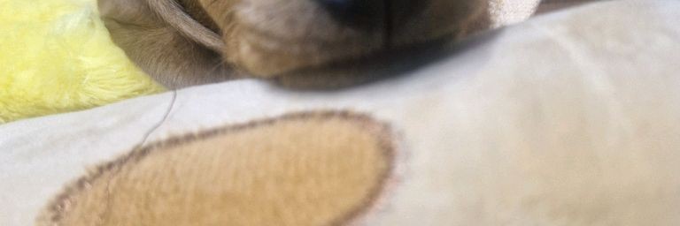 Серго и Веста