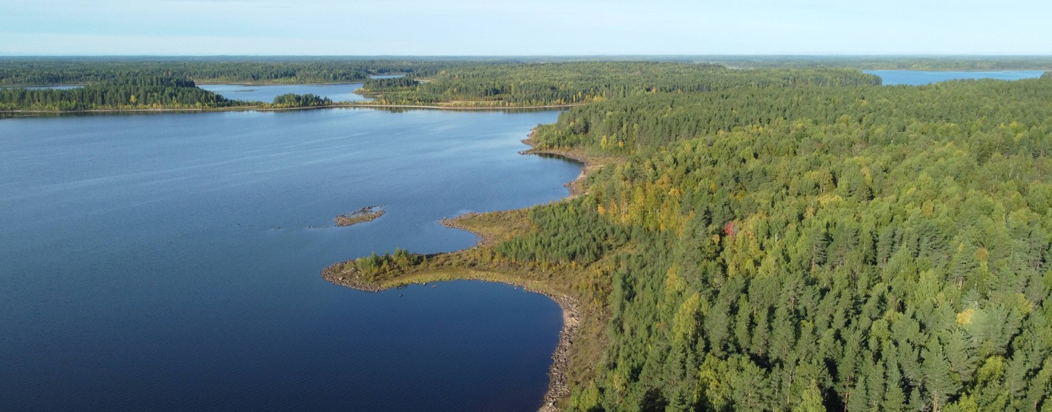 Тень рыбака