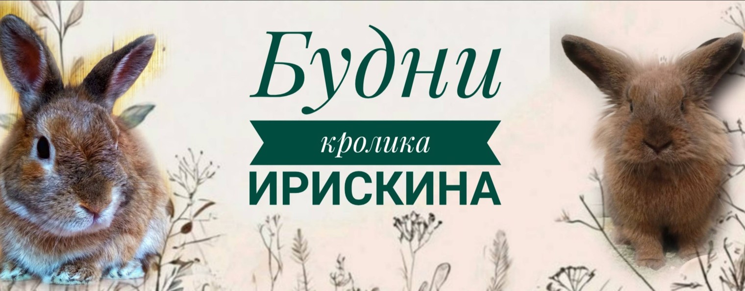Кролик Ирискин
