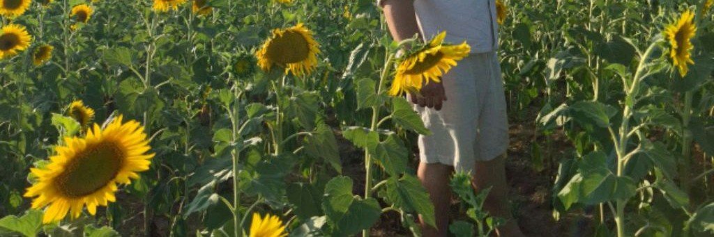 Сам себе климат