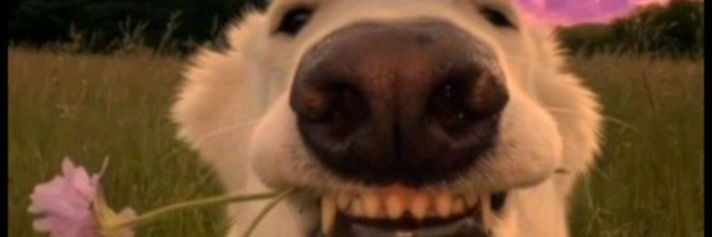 Гимнастика Лучший Спорт На Земле🩷