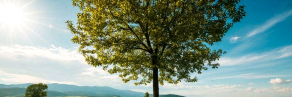 SvetlanaRomanovskaya