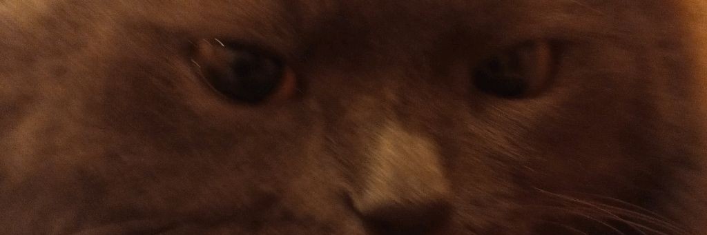 Любаша Милая Кошечка