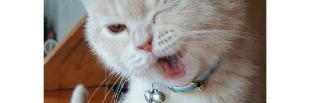 ~`|♡юсечка♡|`~