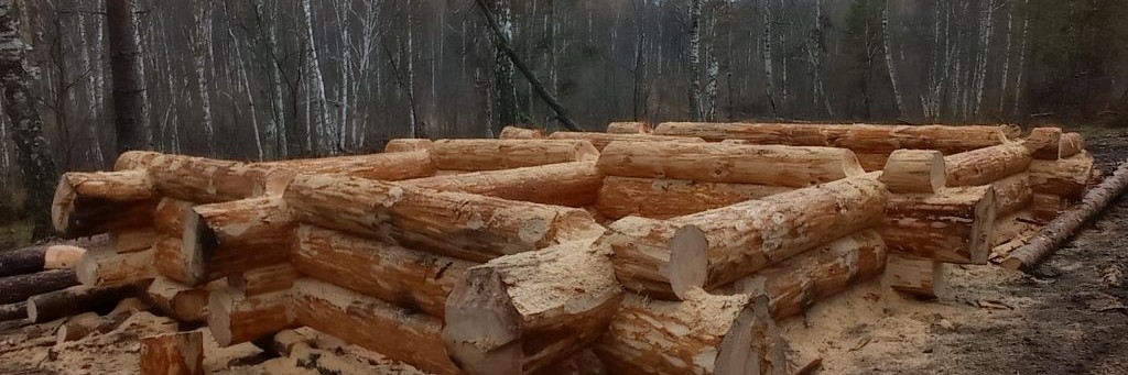 СК Дикая Усадьба