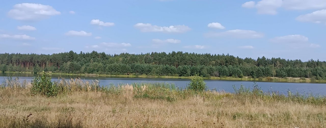 Людмила Атоми