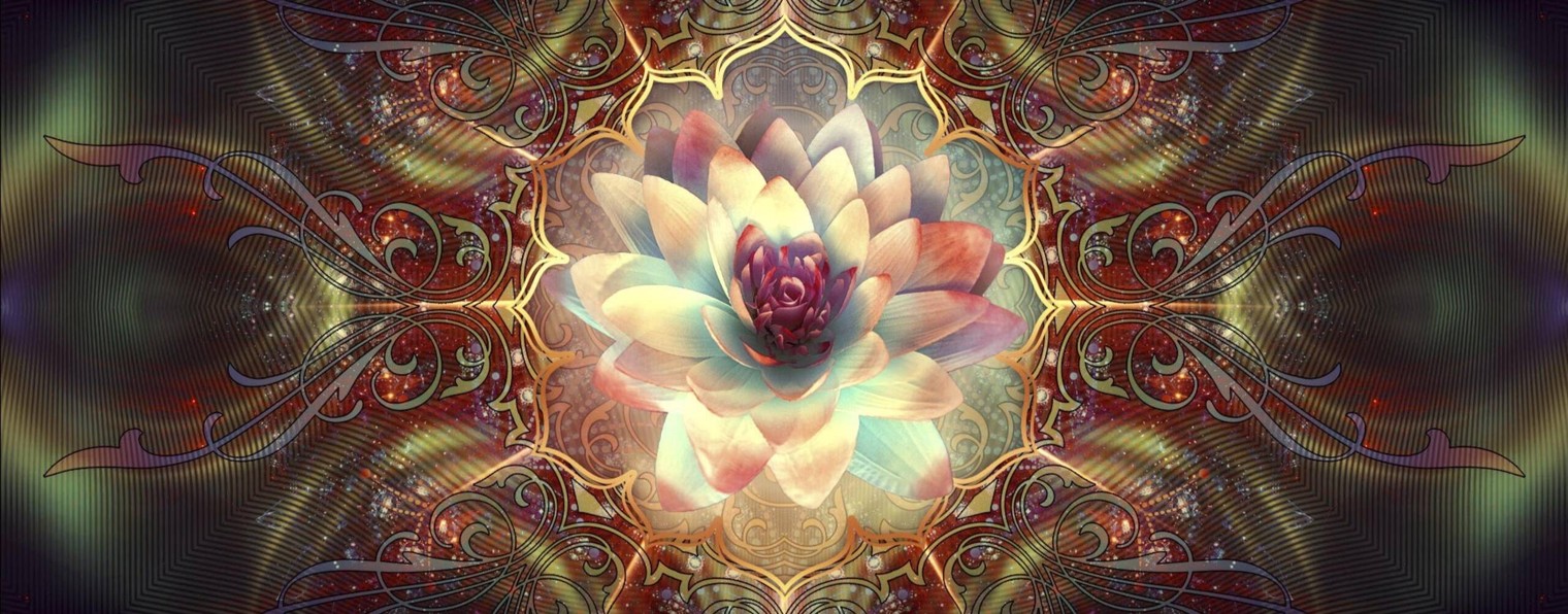 Нумеролог Лена Лотос