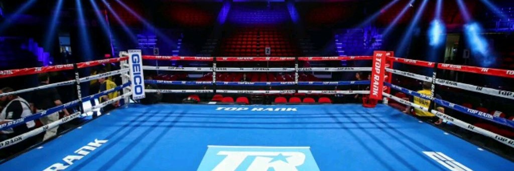 Ring Boxing Club🥊