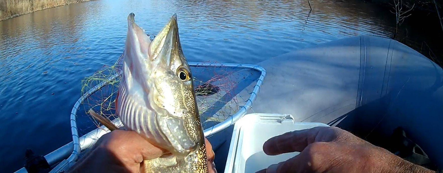 Люблю рыбалку