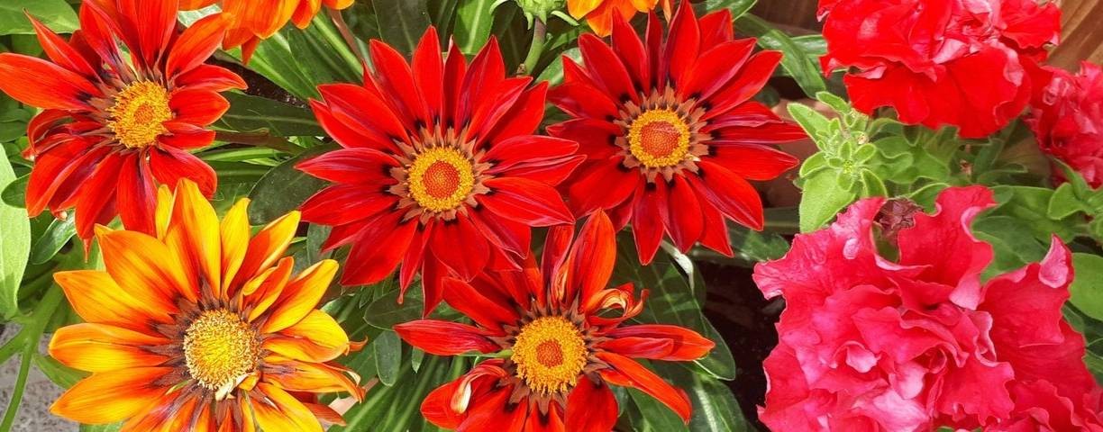 Мои любимые ролики