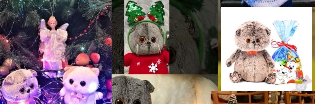 БасикиДримс🐱🐱🐱