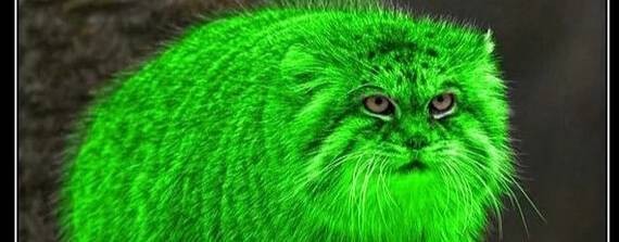 Ру Туб- диспанцер! EBUTUR