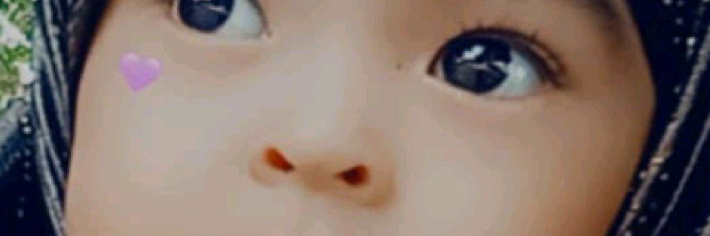 Кушиклар 2025