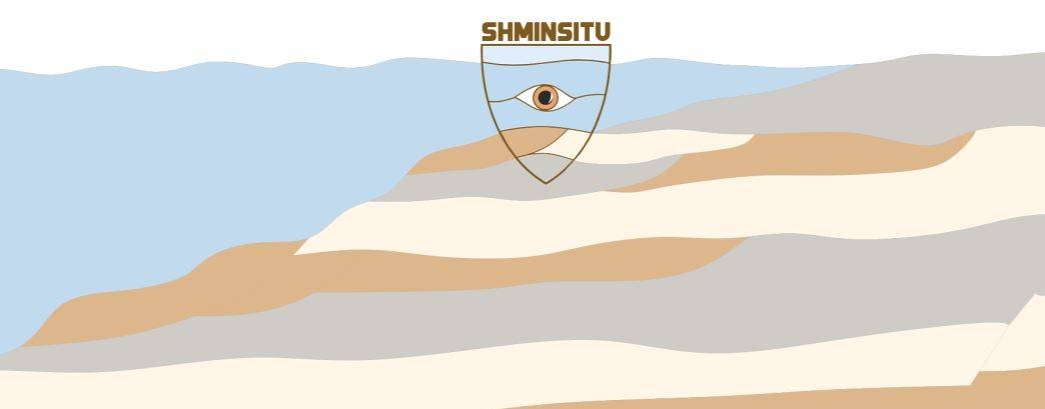SHMINSITU