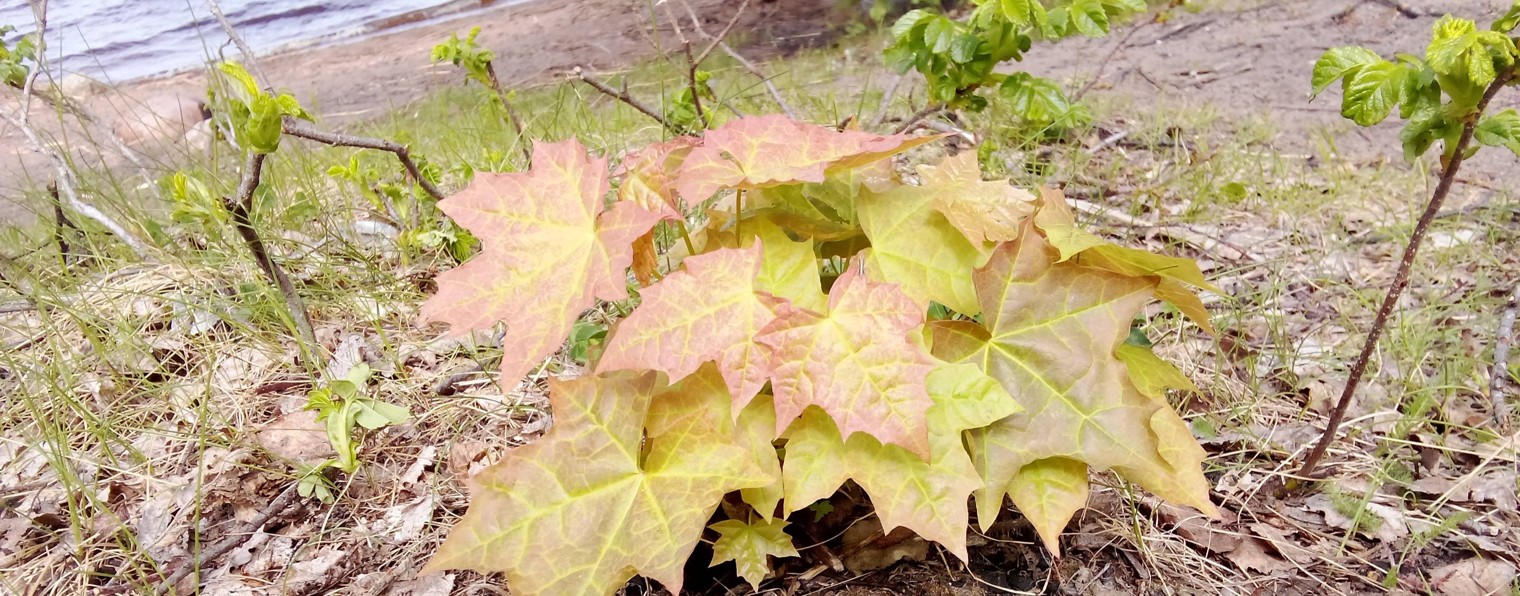 Крутые видосы