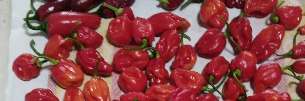 ВЕС Острые Соусы