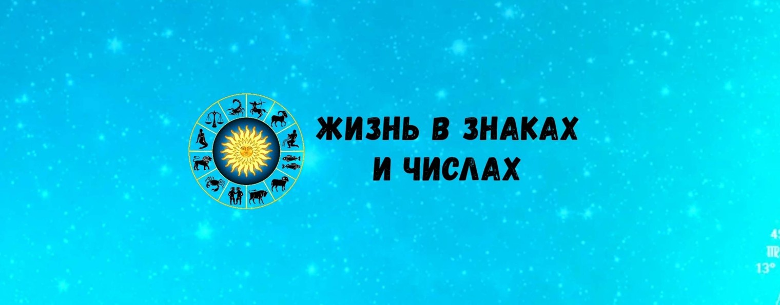 Жизнь в Знаках и Числах
