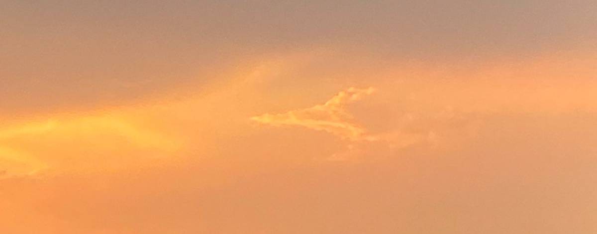 Elena Rusanova Novalife