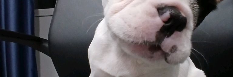 Фан Паспарту🤍❄️ ( Official )