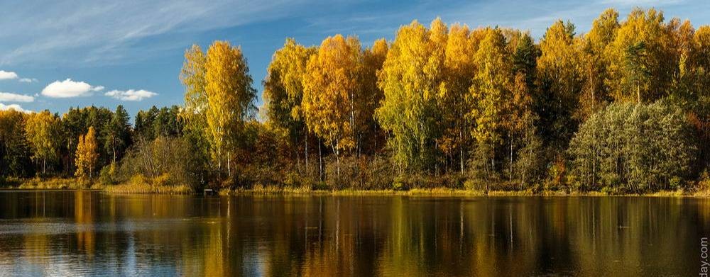 Рыбалка-Грибы-Кухня