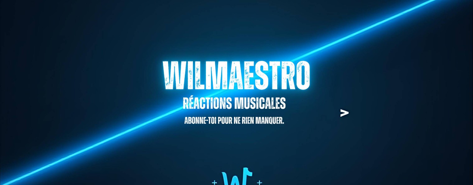 Wilmaestro Réactions