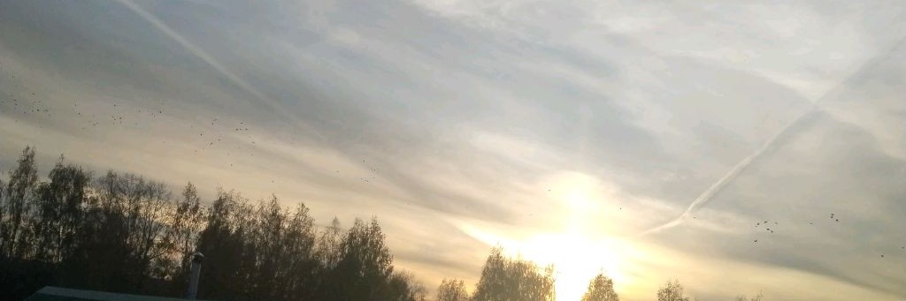 Вика Вай 🌟топ