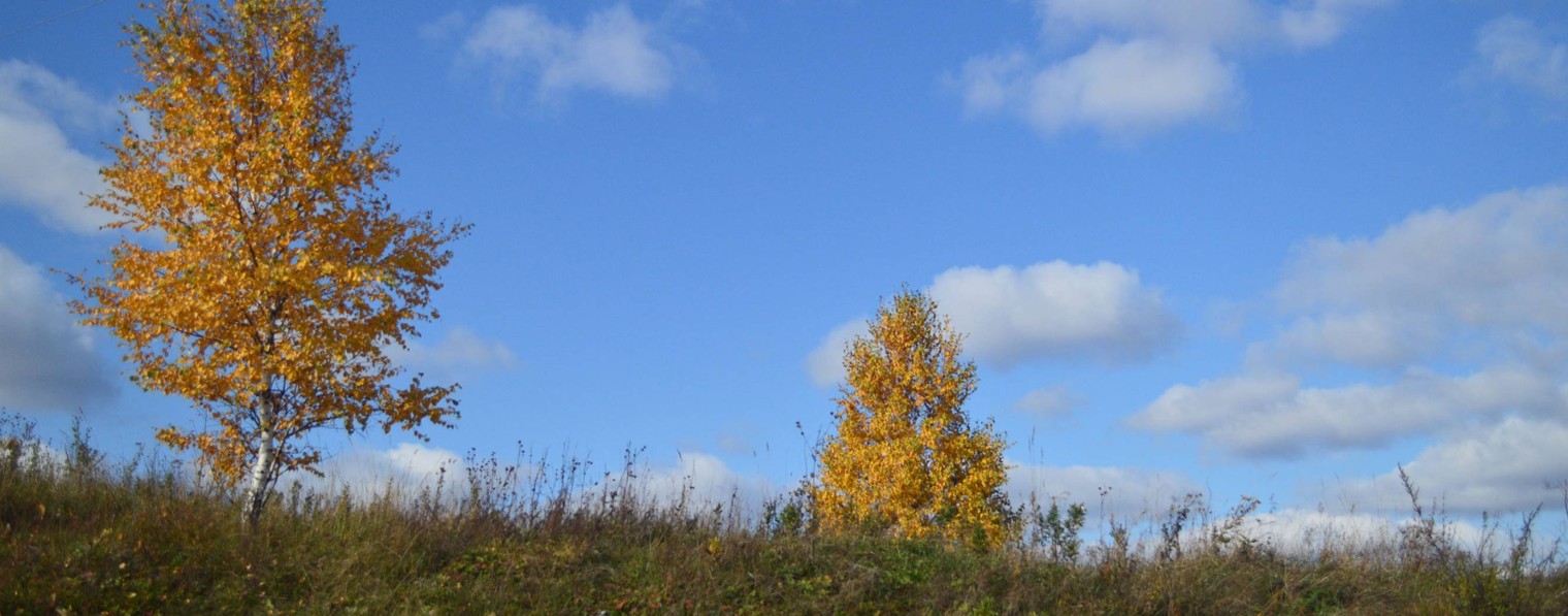 EX! NATURE MUSIC - L.Prishvin