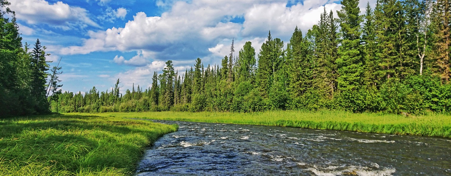 ТАЕЖНАЯ РЫБАЛКА