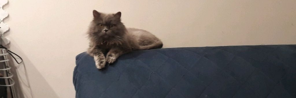 Эгбик, Брюсик и друзья (Cretacus Pmu)